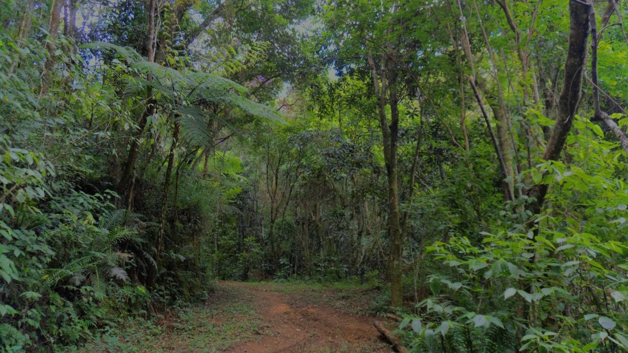 Pousada Alpes Santo Antônio do Pinhal Zewnętrze zdjęcie