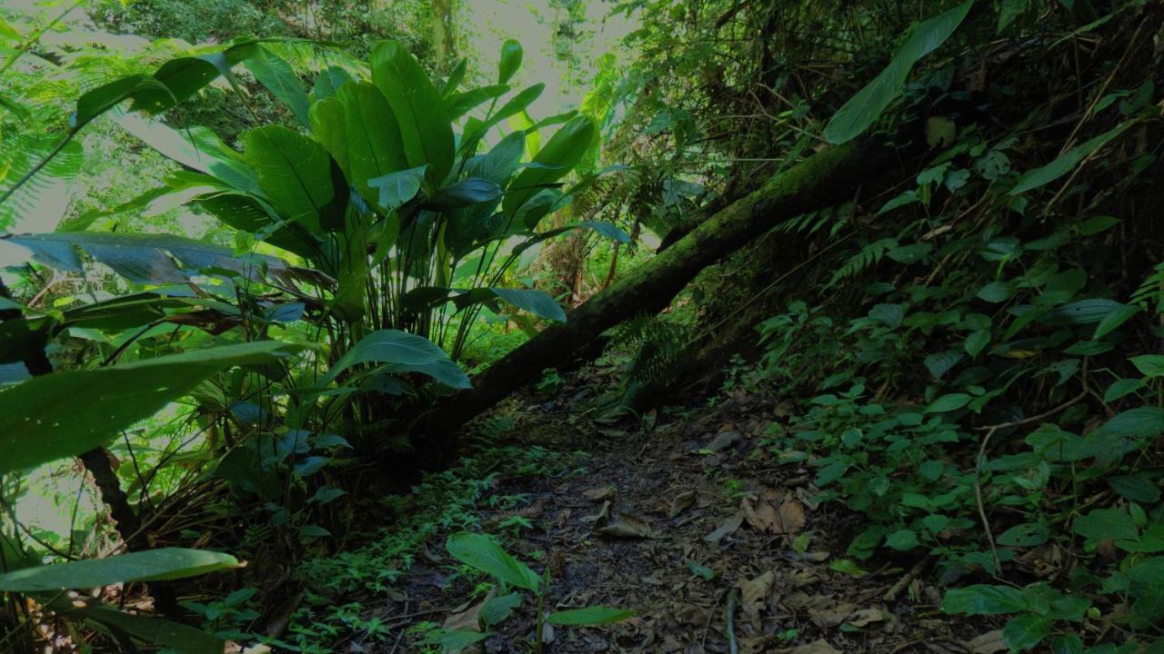 Pousada Alpes Santo Antônio do Pinhal Zewnętrze zdjęcie
